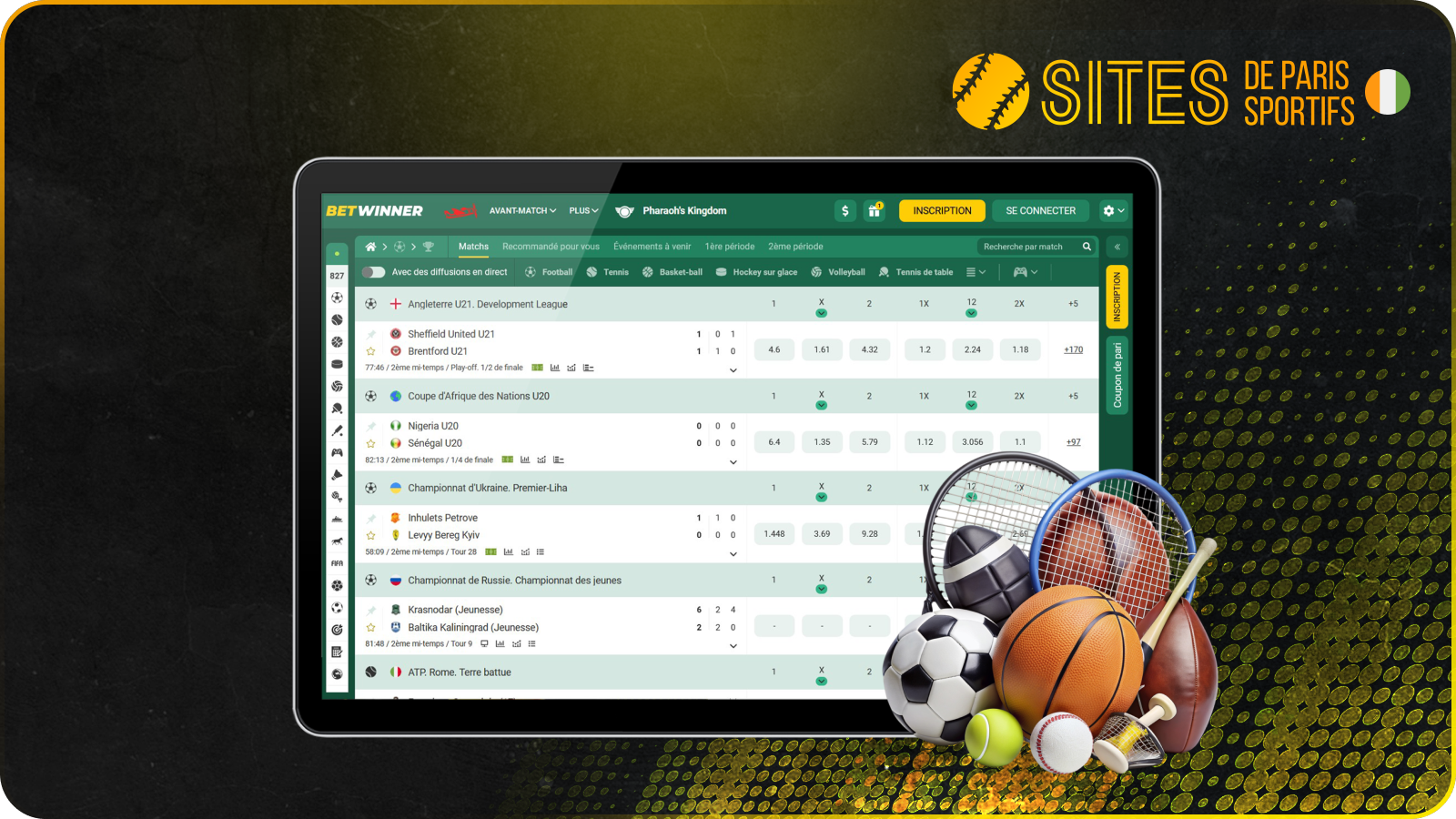 Le site de paris sportifs BetWinner propose un large éventail d'options